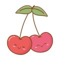 Smiling cherries icon