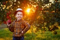 smiling child boy with big red apple in garden on sunset Royalty Free Stock Photo