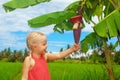 Smiling child exploring the nature - banana flower and fruits