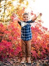 Greeting autumn garland in kid`s hands. Royalty Free Stock Photo