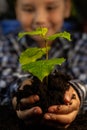 A smiling child holds a tree sapling outstretched in his hands. Experience joy, because a tree seedling symbolizes a