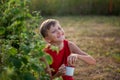 Smiling child picking and eating fresh ripe raspberries in the summer garden or backyard. Summertime harvest Royalty Free Stock Photo