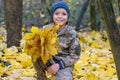 Smiling child playing with fallen autumn leaves. Boy holding bunch of maple leaves in the forest Royalty Free Stock Photo