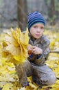 Smiling child playing with fallen autumn leaves. Boy holding bunch of maple leaves in the forest Royalty Free Stock Photo