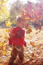 Smiling child playing with fallen autumn leaves. Boy holding bunch of maple leaves in the forest Royalty Free Stock Photo