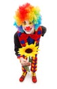 Clown with big yellow flower Royalty Free Stock Photo