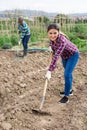 Columbian woman gardener hoeing soil on vegetable garden Royalty Free Stock Photo