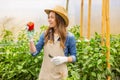 Pleased agriculturist looking at the paprika fruit in her hand