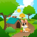 Smiling corgi sitting on path in park. Little bird on roof of dog s house. Playful pet with orange ball. Nature