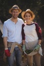 Smiling couple collecting olives at farm Royalty Free Stock Photo