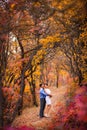 Smiling couple hugging in autumn park. Happy bride and groom in forest, outdoors Royalty Free Stock Photo