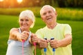 Smiling couple of seniors outdoor.