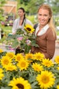 Smiling customer woman shopping for potted sunflower Royalty Free Stock Photo