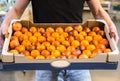 Smiling customers buying sicilian oranges in grocery section Royalty Free Stock Photo