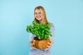 Smiling cute fashionable blonde teenager girl in jeans denim presenting fresh basil plant in pot on blue background Royalty Free Stock Photo