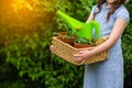 Smiling cute girl gardener holding basket and horticultural tools in garden on sunny day. Happy childhood. Summer activities Royalty Free Stock Photo