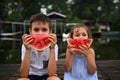 Smiling cute kids covering mouth with sliced watermelon, sitting on the pier, enjoying countryside summer vacations at evening.