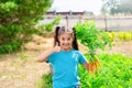 Smiling cute little girl holding bunch fresh carrot and showing thumbs up, standing in the garden on a sunny day Royalty Free Stock Photo