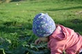 Smiling cute playful little girl is standing on green grass. girl toddler walks around the lake learns to walk. sunny Royalty Free Stock Photo