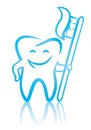 Smiling dental tooth with toothbrush