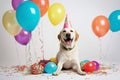 Smiling dog wearing colourful birthday hat, generative AI