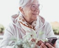 Smiling elderly Caucasian woman sitting outdoors at cafe table in sunny day using mobile phone looking at side. Senior lady Royalty Free Stock Photo