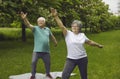 Smiling elderly retired active couple exercising doing morning workout in park Royalty Free Stock Photo