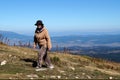 Smiling elderly woman climb the mountain on a sunny day