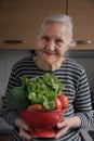 Smiling elderly woman kitchen Royalty Free Stock Photo