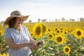 Smiling elderly woman with pruning shears in a sunflower field Royalty Free Stock Photo