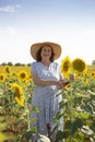 Smiling elderly woman with pruning shears in a sunflower field Royalty Free Stock Photo