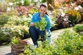 Woman working in garden center Royalty Free Stock Photo