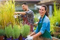 Garden Center Employees Royalty Free Stock Photo