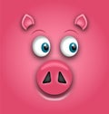 Smiling Face of Pig, Symbol of Chinese New Year 2019