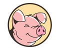 Smiling face of a pig