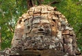 Smiling face of Ta Som temple