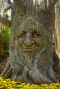 Troll Face Tree Trunk Bark