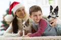 Smiling family and dogs lying on carpet at home by Christmas tree Royalty Free Stock Photo