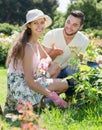 Smiling family in gloves planting flowers