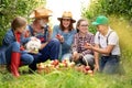 Smiling family picking up apple