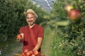 Smiling Farmer with Hat Giving Red Apple in Sunny Orchard Royalty Free Stock Photo