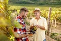 Smiling father and son cutting grapes in vineyard Royalty Free Stock Photo