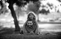 Smiling father and son laying on grass in summer park outdoor. People having fun outdoors. Concept of happy vacation and Royalty Free Stock Photo