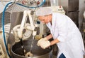 Female baker taking out dough from kneading machine Royalty Free Stock Photo