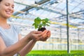 Smiling female botanist holding seedling in plant nursery