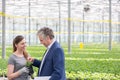 Smiling female botanist looking at mature businessman standing in greenhouse