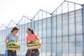 Smiling female botanists carrying plants in wooden crates against greenhouse Royalty Free Stock Photo