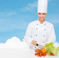 Smiling female chef chopping vegetables Royalty Free Stock Photo