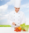 Smiling female chef chopping vegetables Royalty Free Stock Photo