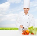 Smiling female chef chopping vegetables Royalty Free Stock Photo